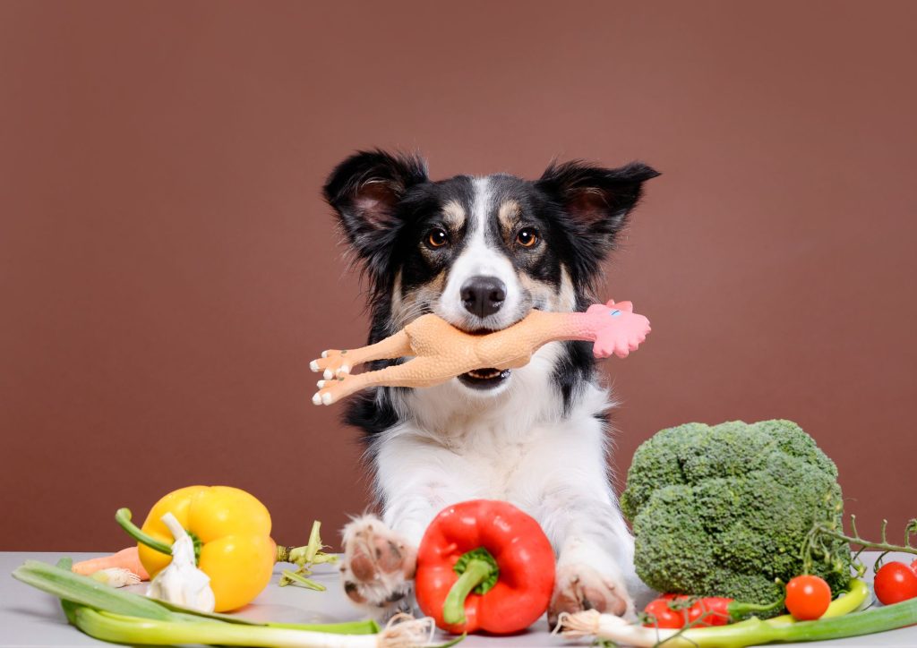 Cómo ayudar a tu perro a perder peso de forma saludable: la clave está en una alimentación más natural y equilibrada