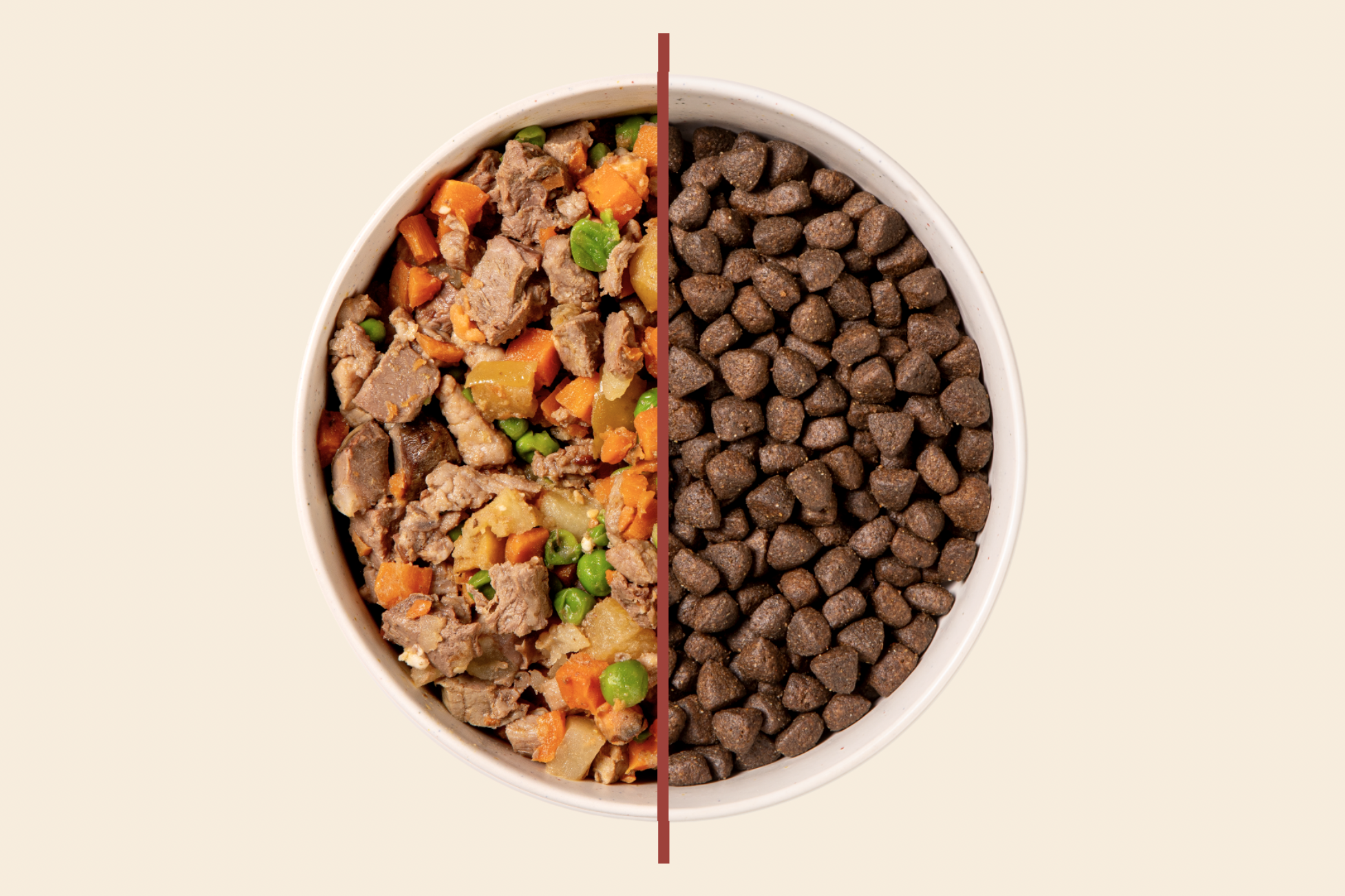 Cómo hacer la transición del pienso a la comida natural sin problemas