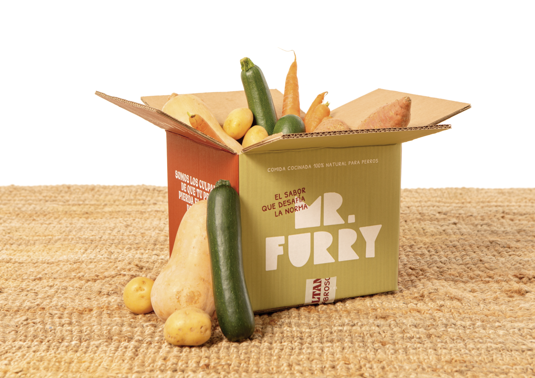 ¿Qué es la comida cocinada para perros y cómo se diferencia del pienso o comida húmeda?
