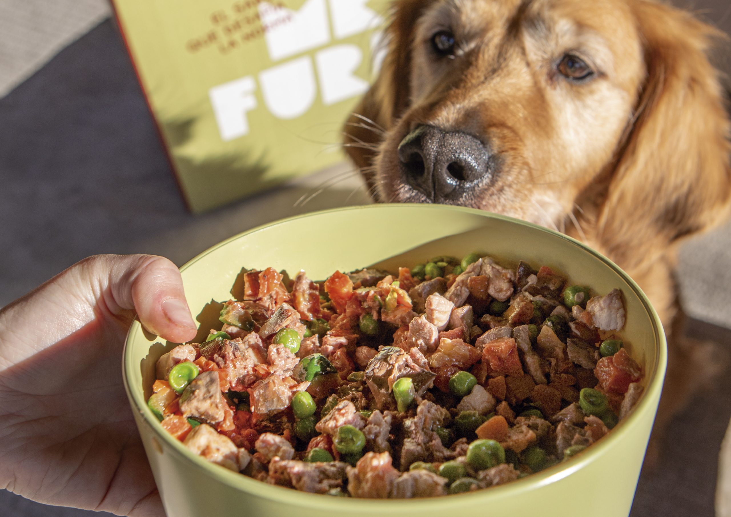 Cómo introducir los menús de Mister Furry sin alterar la digestión de tu perro