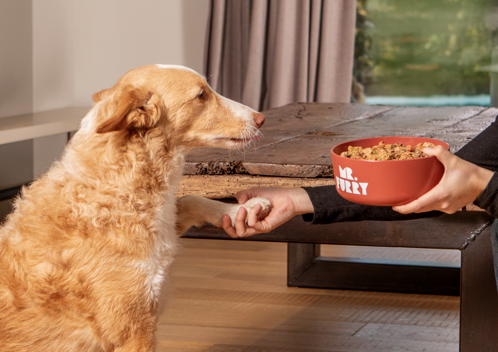Comida natural para Mestizos: nutrición adaptada a perros únicos